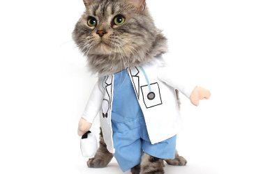 פופקורן 67 – שאלות ותשובות עם ליאור פרנקל