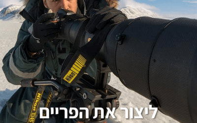 פופקורן 103 – איך להריץ כמה עסקים במקביל? – עם רועי גליץ