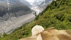 giphy-downsized (41).gif