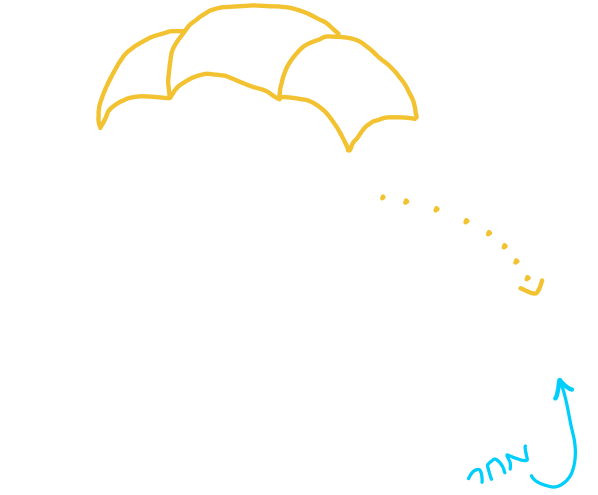 קורס ניהול טיקטוק ליאור פרנקל