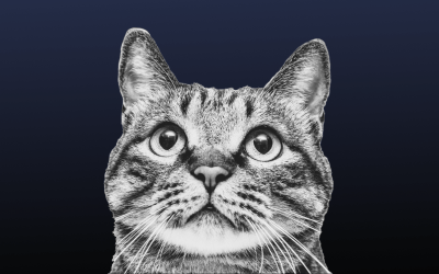 איך ליצור לעצמי יתרון תחרותי בשוק העבודה | איך להסתכל על צמתים בקריירה | מתי תסמונת המתחזה דווקא מועילה | פופקורן 313