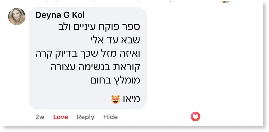 המלצה ספר ניהול ספר למנהלים ליאור פרנקל